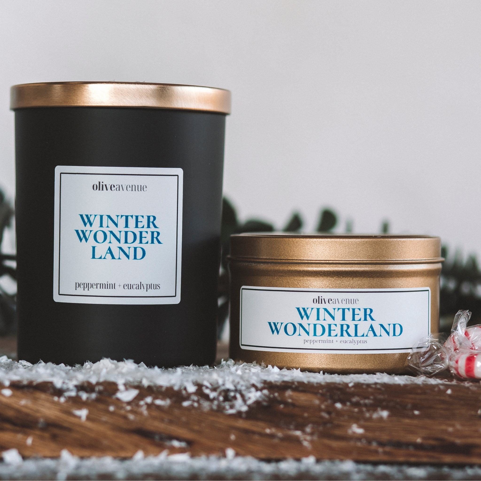 WINTER WONDERLAND  | 10 OZ JAR CANDLE